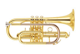 Cornet